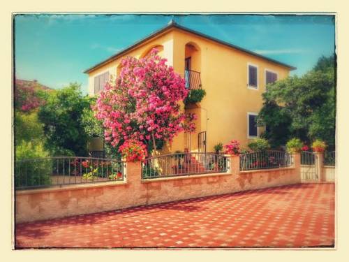 Sveti Filip i Jakov Croatia Accommodation