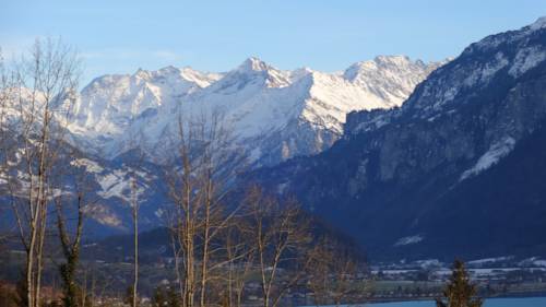 Hofstetten Schweiz Unterkunft Gutscheincode booking.com