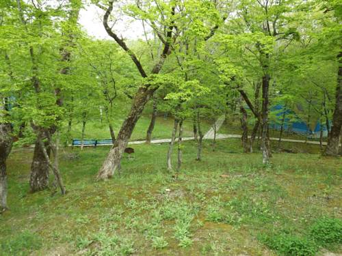 Inal Russia Accommodation