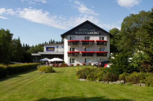 Winterberg Allemagne code promo hébergement booking.com