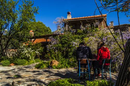 Kapıkırı Turkey Accommodation