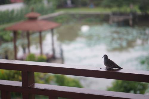 Nonthaburi Tailandia Código de promoción de alojamiento booking.com