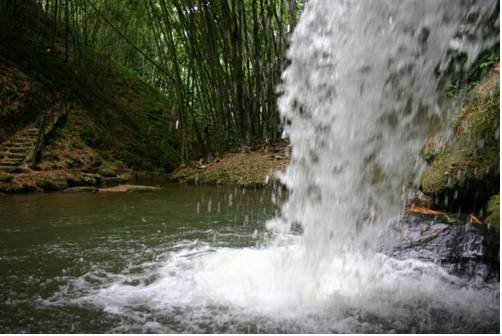 La Tebaida, Quindío Colombia Código de promoción de alojamiento booking.com