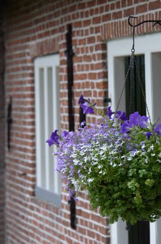Dokkum Niederlande Unterkunft Gutscheincode booking.com